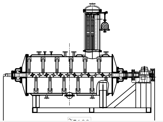 ZBG-3000L vacuum rake dryer