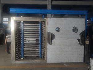 Freeze-drying machine